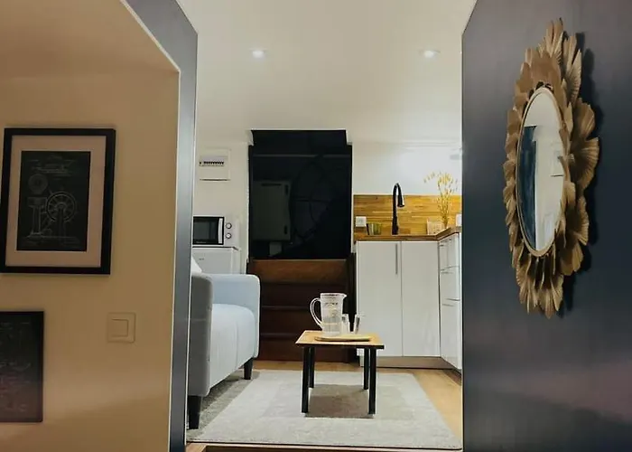 Peniche Climatisee - Stade Toulousain *